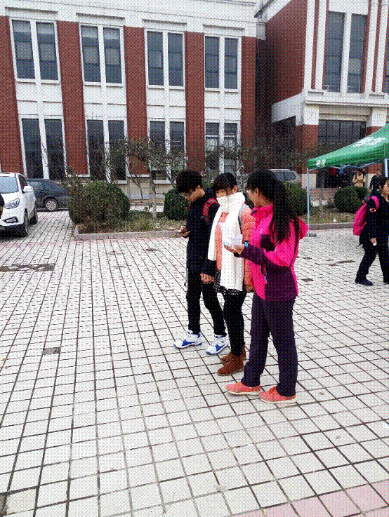 图 (13).gif