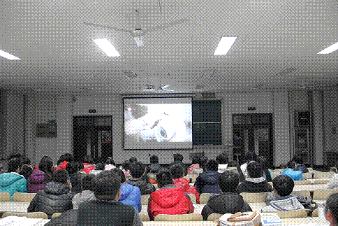 图 (20).gif
