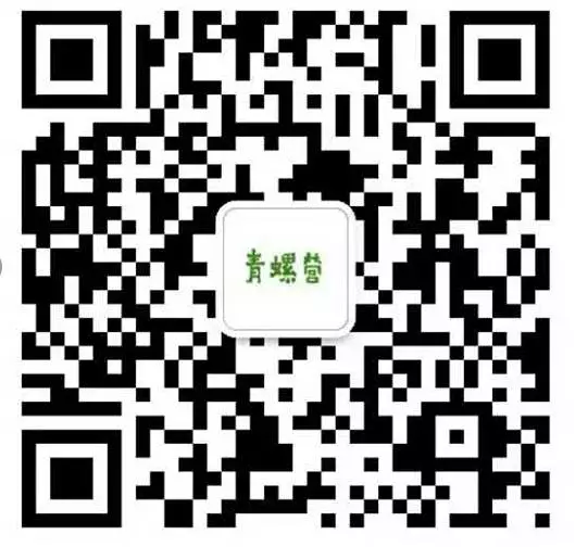 1495522346331727.png
