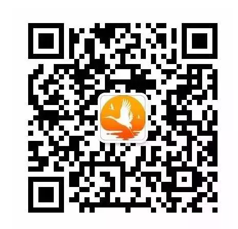 1495522346734464.png
