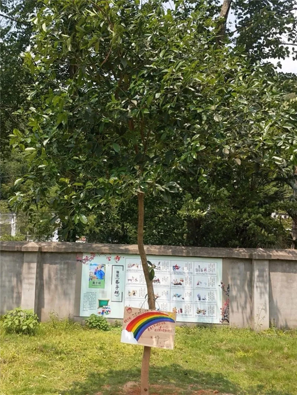 303.jpg
