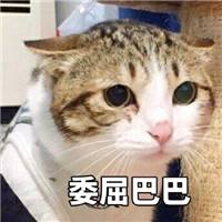 1532323398564167.jpg timg (6).jpg
