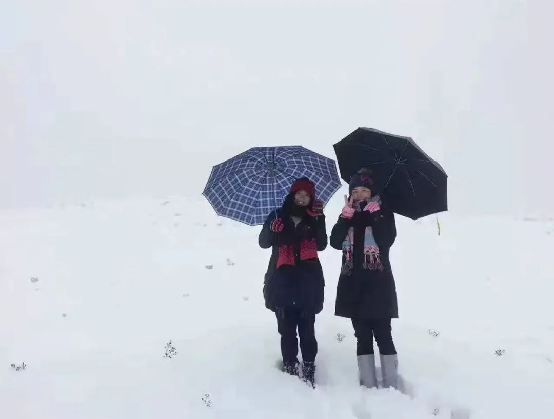 1671748198233718.jpg